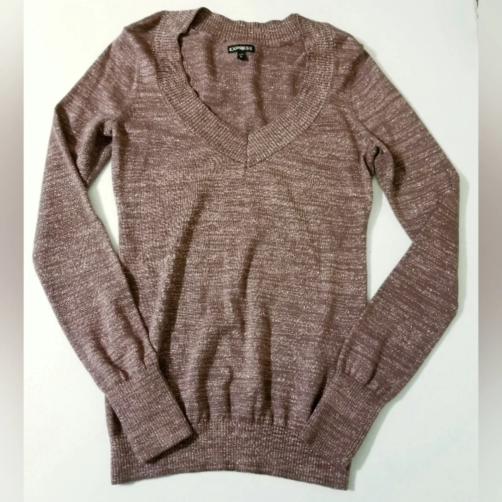 Express Pink Mauve Shimmer Vneck Longsleeve Banded Blouse Medium